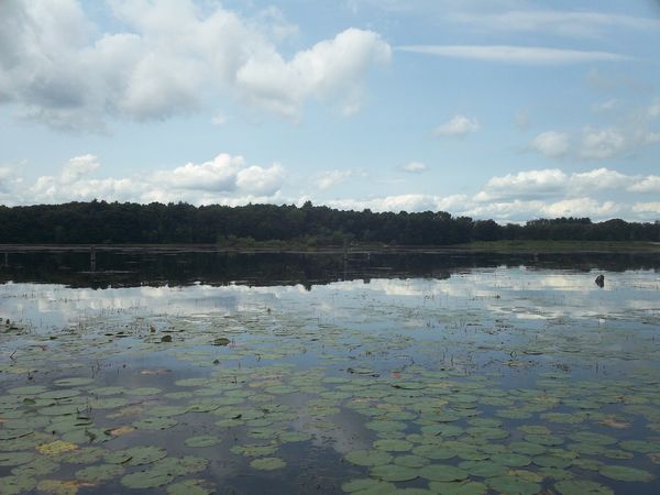 Kayaking Stump Pond / Mill Pond Westboro MA photo