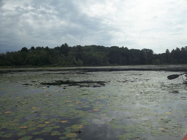 Kayaking Stump Pond / Mill Pond Westboro MA photo