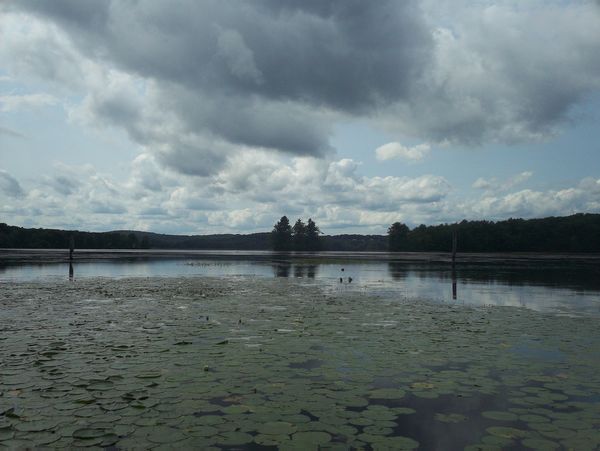 Kayaking Stump Pond / Mill Pond Westboro MA photo