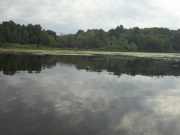 Kayaking Stump Pond / Mill Pond Westboro MA photo
