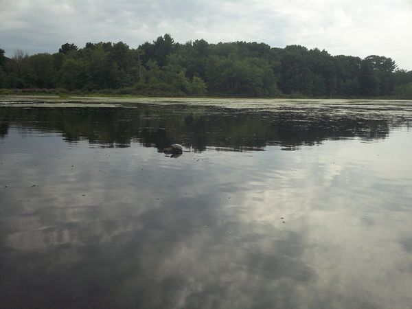 Kayaking Stump Pond / Mill Pond Westboro MA photo