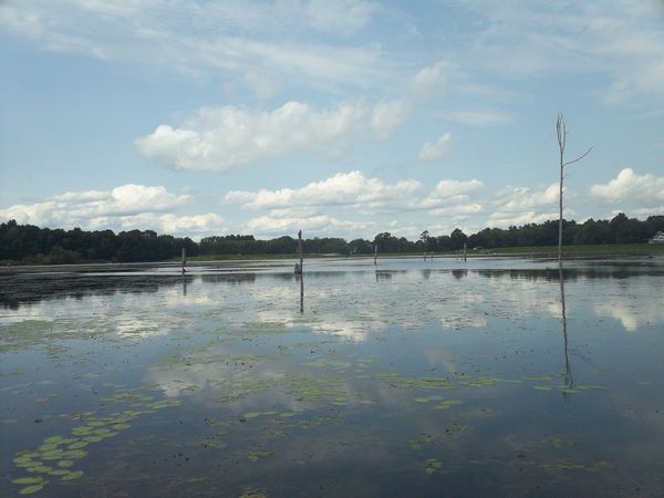 Kayaking Stump Pond / Mill Pond Westboro MA photo