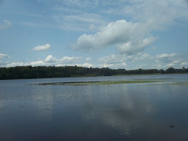 Kayaking Stump Pond / Mill Pond Westboro MA photo