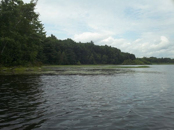 Kayaking Stump Pond / Mill Pond Westboro MA photo