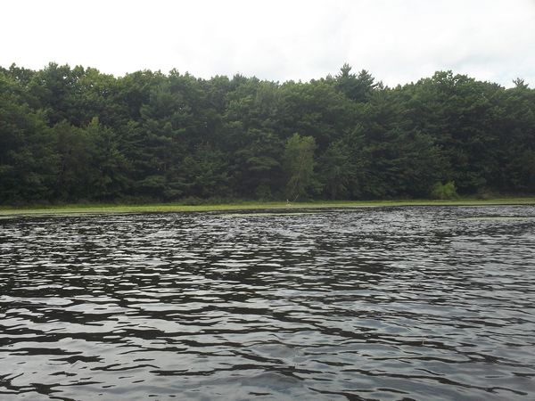 Kayaking Stump Pond / Mill Pond Westboro MA photo