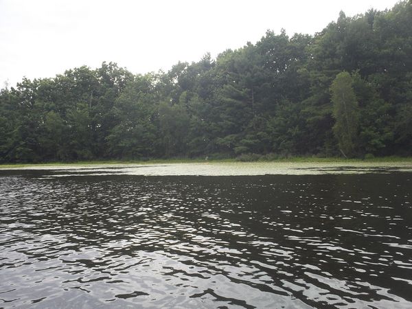 Kayaking Stump Pond / Mill Pond Westboro MA photo