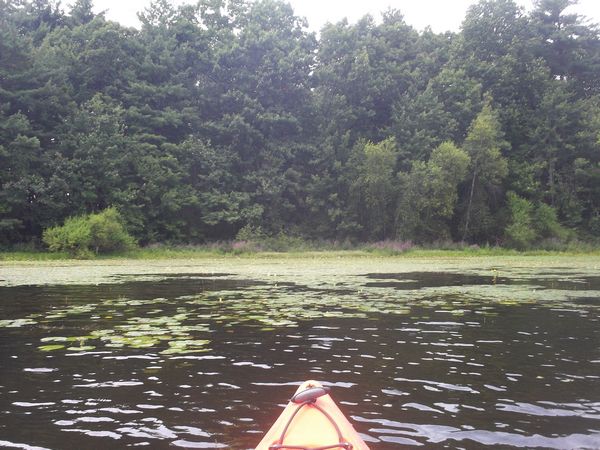 Kayaking Stump Pond / Mill Pond Westboro MA photo