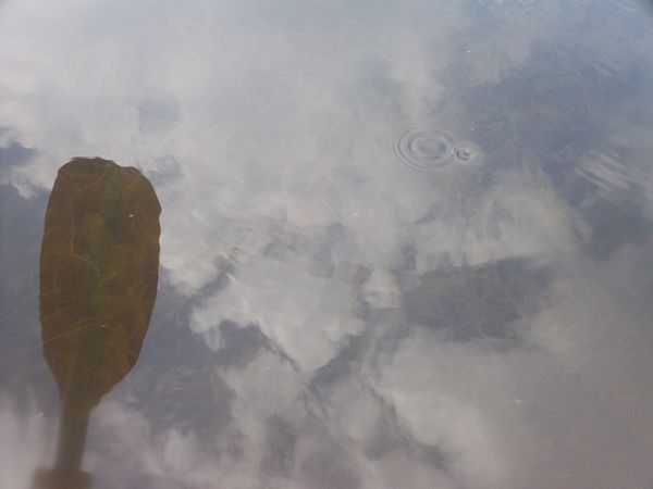 Kayaking Stump Pond / Mill Pond Westboro MA photo