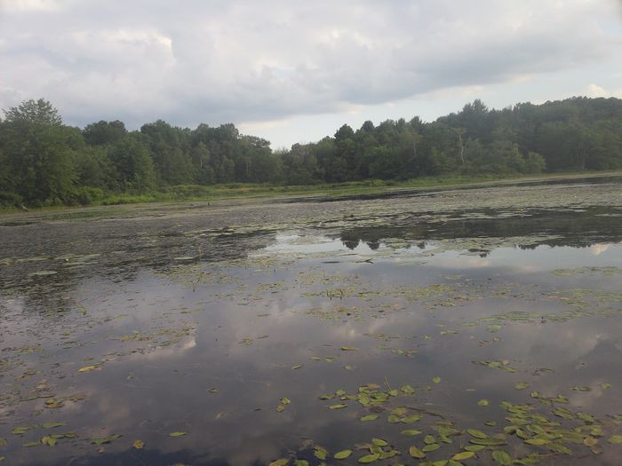 Kayaking Stump Pond Westborough MA photo