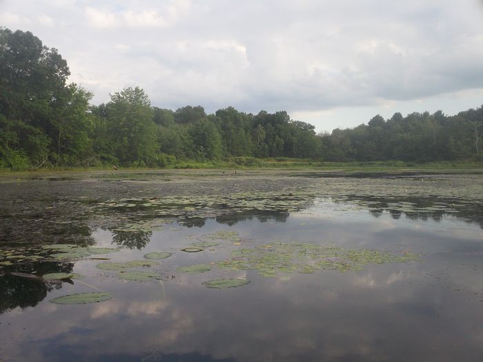 Kayaking Stump Pond Westborough MA photo