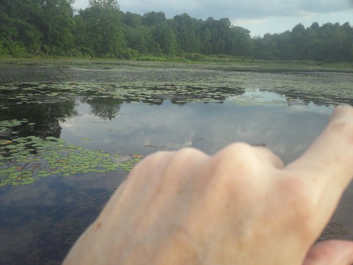 Kayaking Stump Pond Westborough MA photo