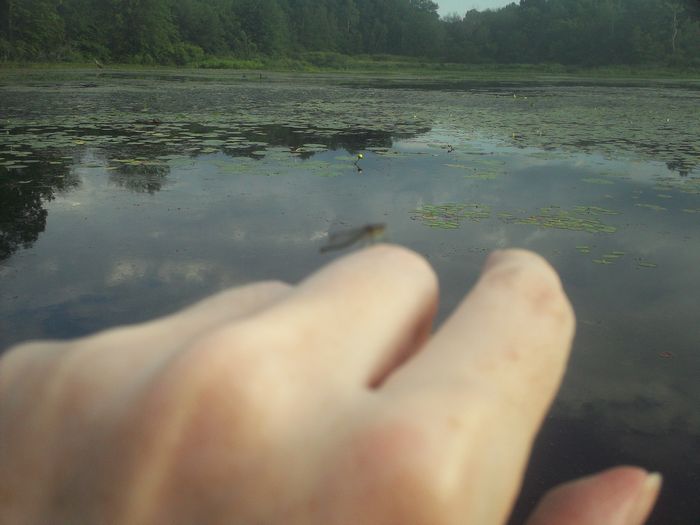 Kayaking Stump Pond Westborough MA photo