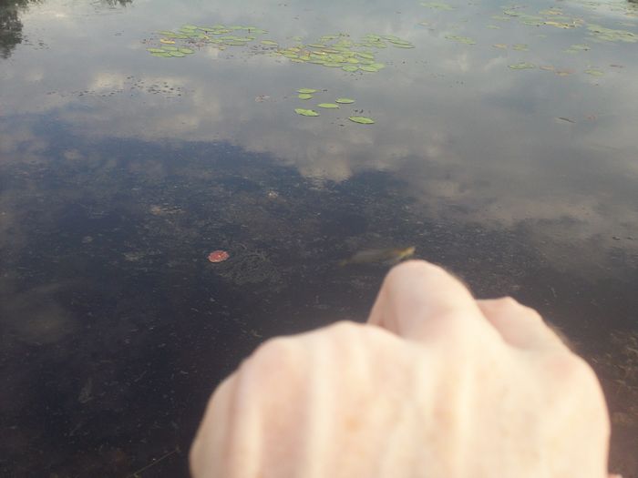 Kayaking Stump Pond Westborough MA photo