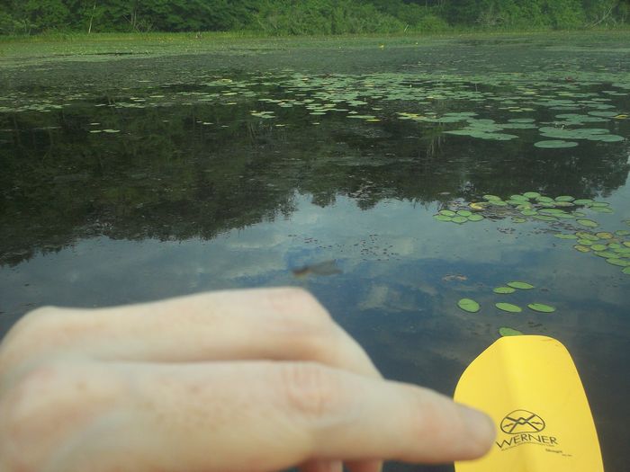 Kayaking Stump Pond Westborough MA photo