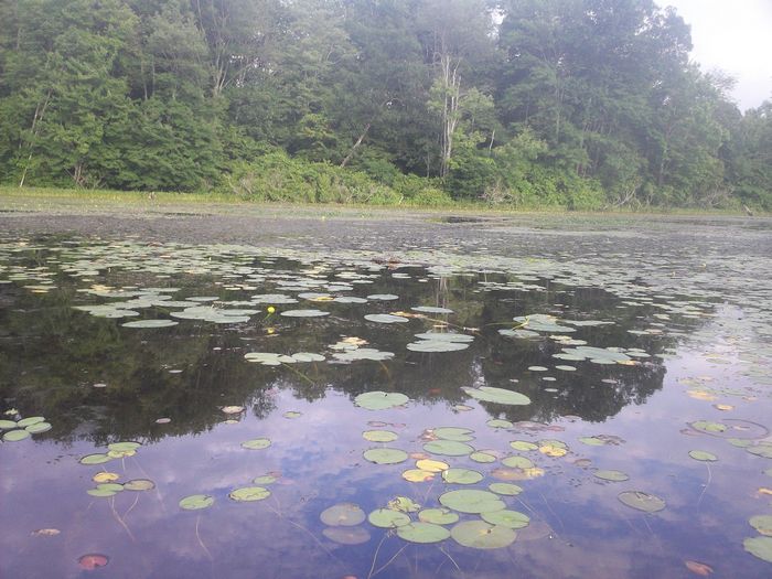 Kayaking Stump Pond Westborough MA photo