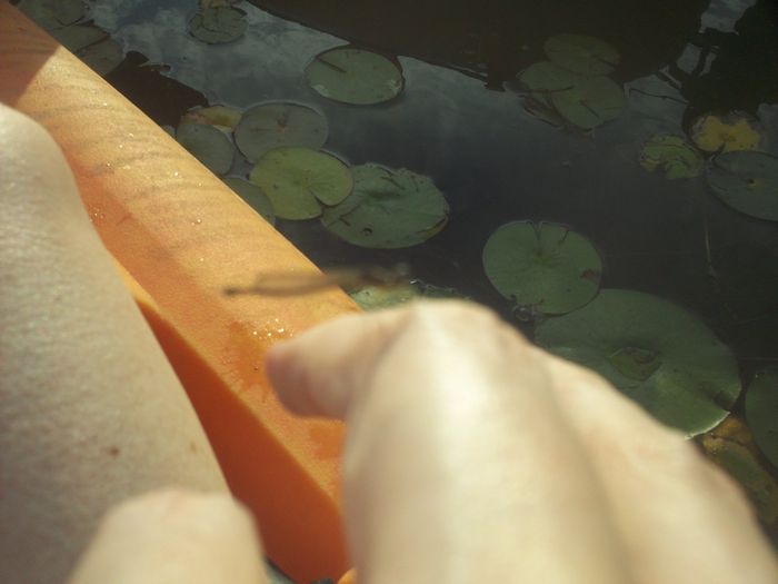 Kayaking Stump Pond Westborough MA photo