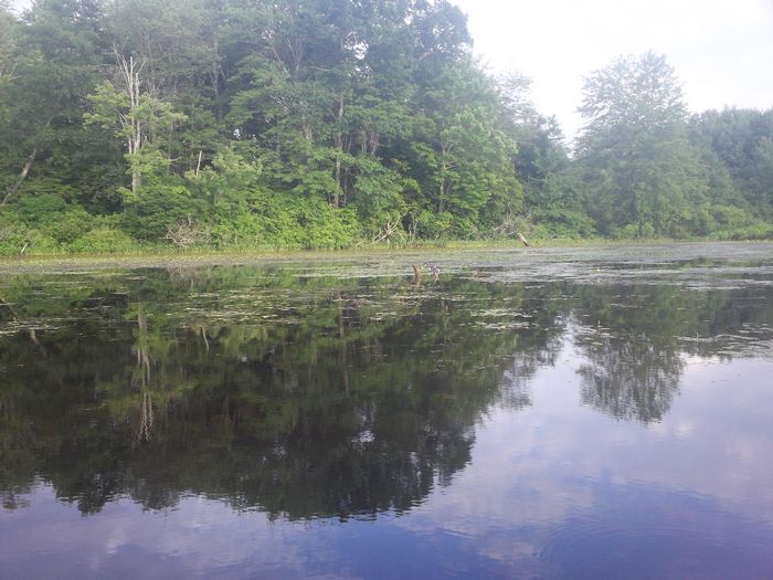 Kayaking Stump Pond Westborough MA photo