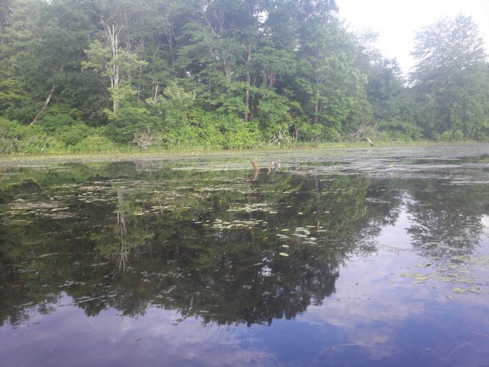 Kayaking Stump Pond Westborough MA photo