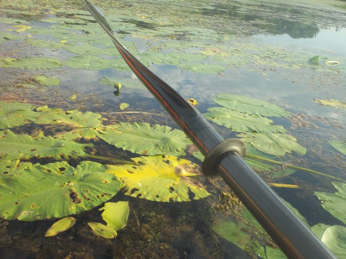 Kayaking Stump Pond Westborough MA photo