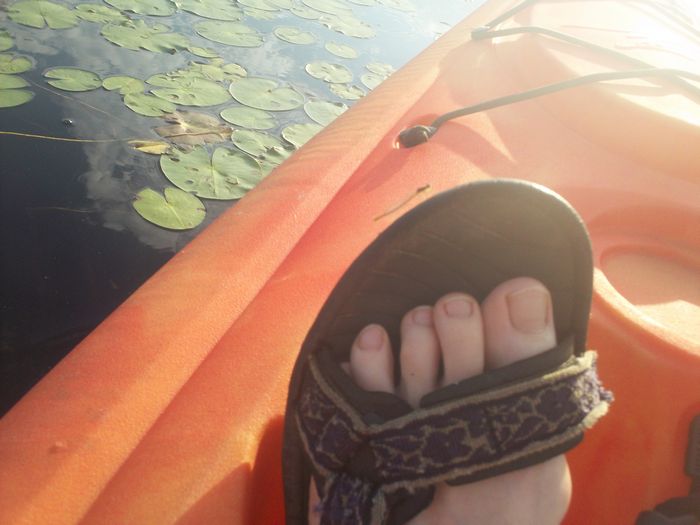 Kayaking Stump Pond Westborough MA photo