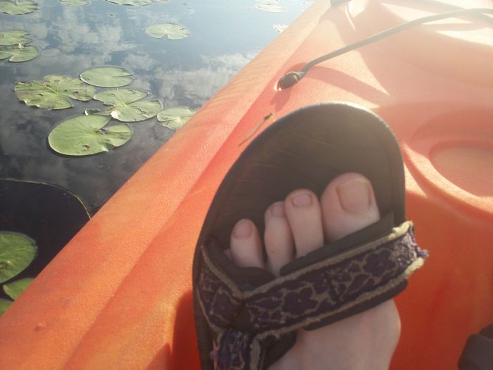 Kayaking Stump Pond Westborough MA photo