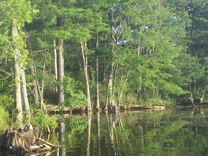Kayaking Stump Pond Westborough MA photo