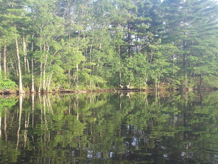 Kayaking Stump Pond Westborough MA photo