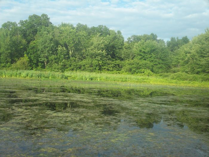 Kayaking Stump Pond Westborough MA photo