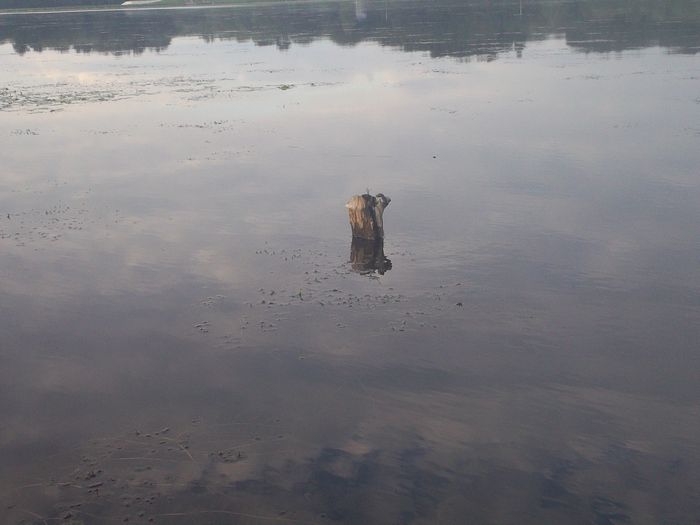 Kayaking Stump Pond Westborough MA photo