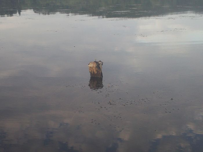 Kayaking Stump Pond Westborough MA photo