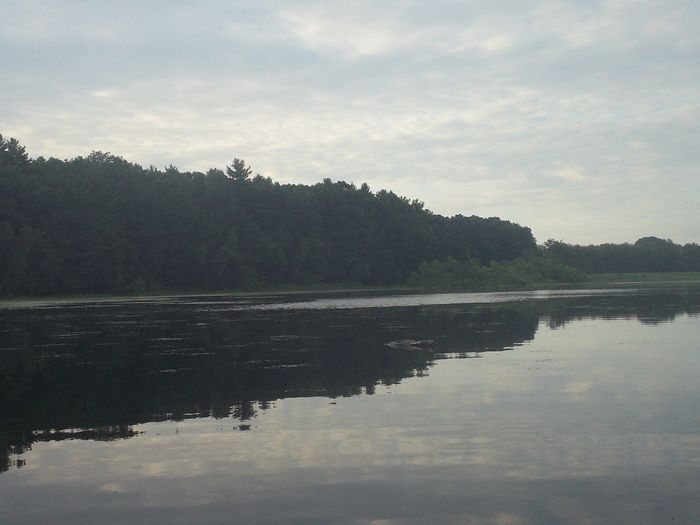 Kayaking Stump Pond Westborough MA photo