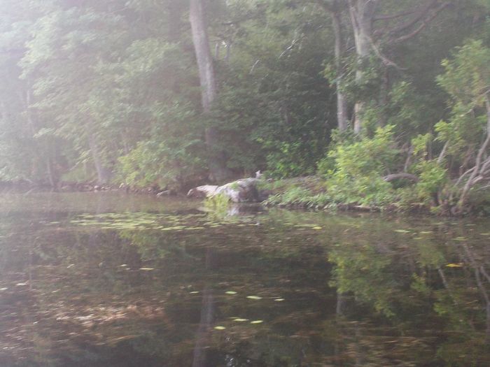 Kayaking Stump Pond Westborough MA photo