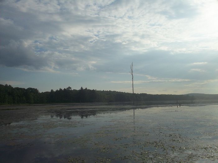 Kayaking Stump Pond Westborough MA photo