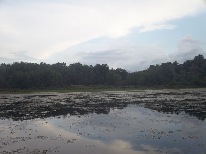 Kayaking on Stump Pond Westboro MA photo