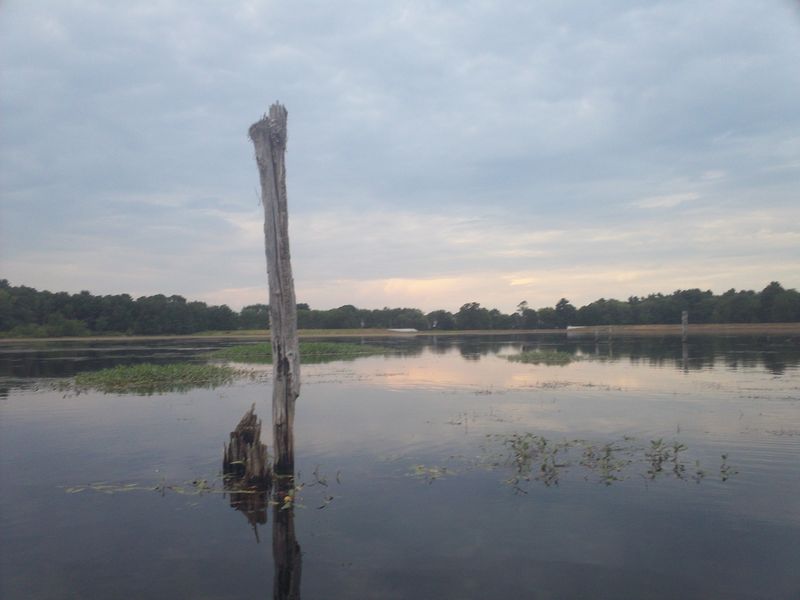 Kayaking on Stump Pond Westboro MA photo
