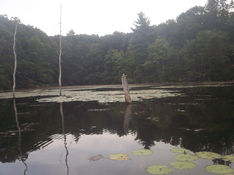 Kayaking on Stump Pond Westboro MA photo