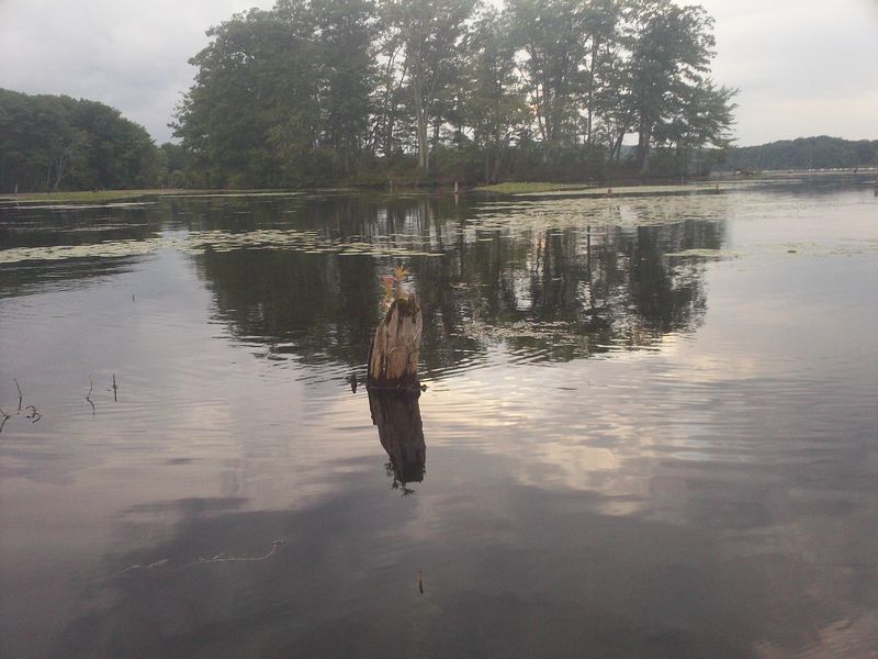 Kayaking on Stump Pond Westboro MA photo