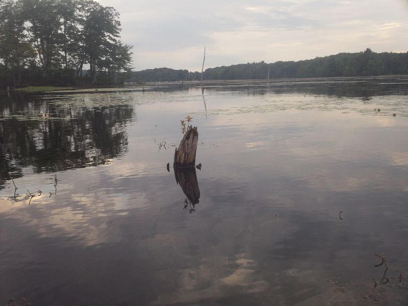 Kayaking on Stump Pond Westboro MA photo