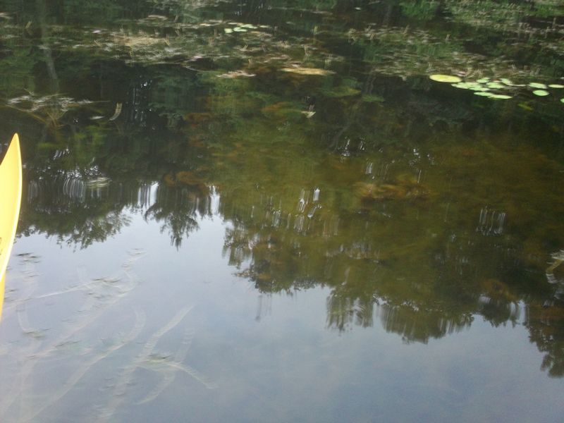 Kayaking on Stump Pond Westboro MA photo