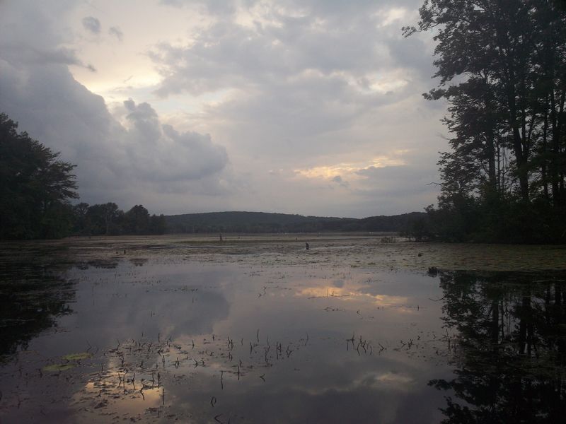 Kayaking on Stump Pond Westboro MA photo