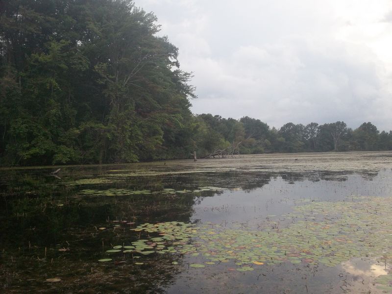 Kayaking on Stump Pond Westboro MA photo