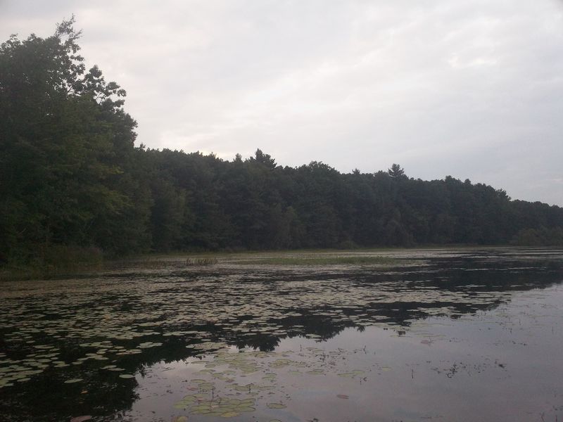 Kayaking on Stump Pond Westboro MA photo