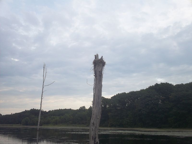 Kayaking on Stump Pond Westboro MA photo