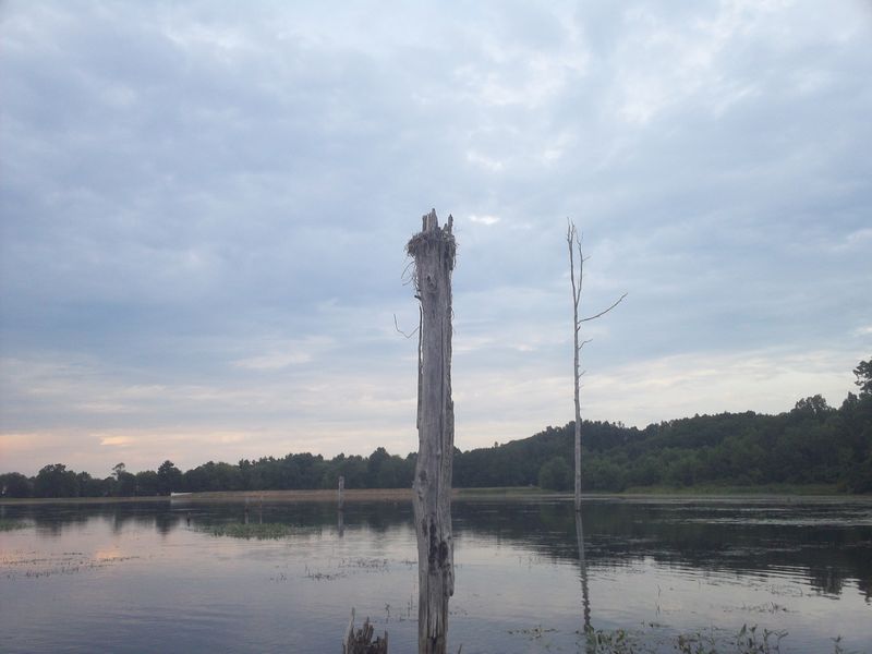 Kayaking on Stump Pond Westboro MA photo