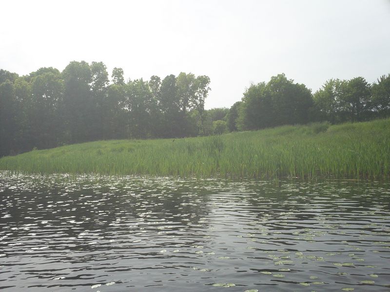 Stump Pond Westboro MA Kayaking photo