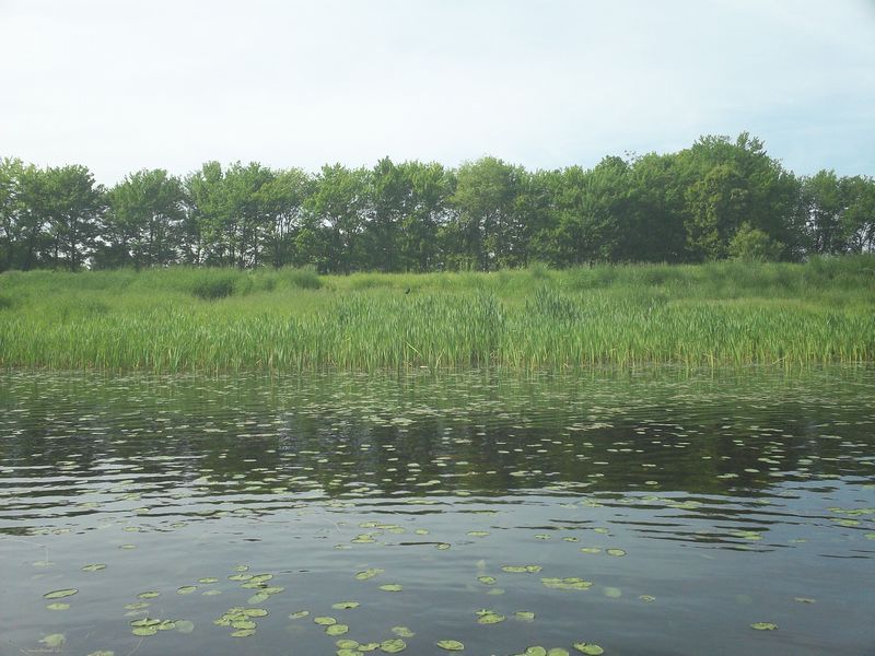 Stump Pond Westboro MA Kayaking photo