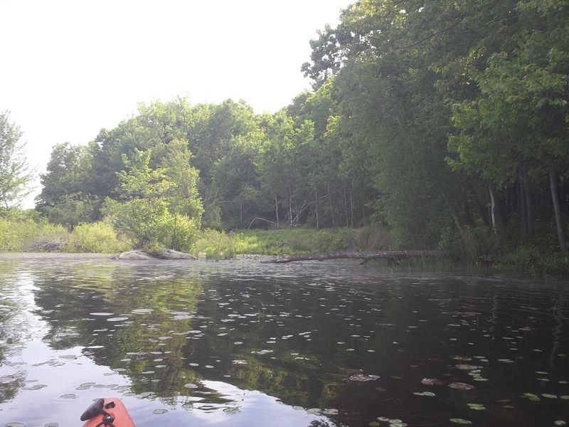 Stump Pond Westboro MA Kayaking photo