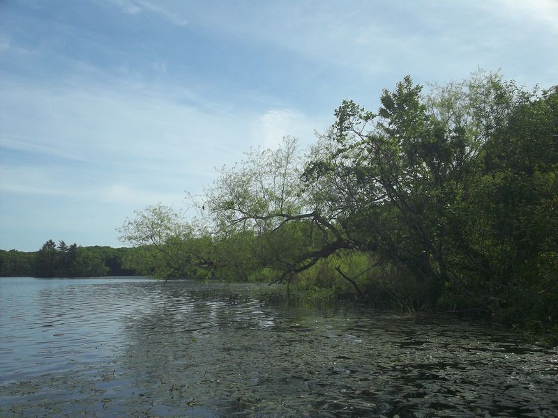 Stump Pond Westboro MA Kayaking photo