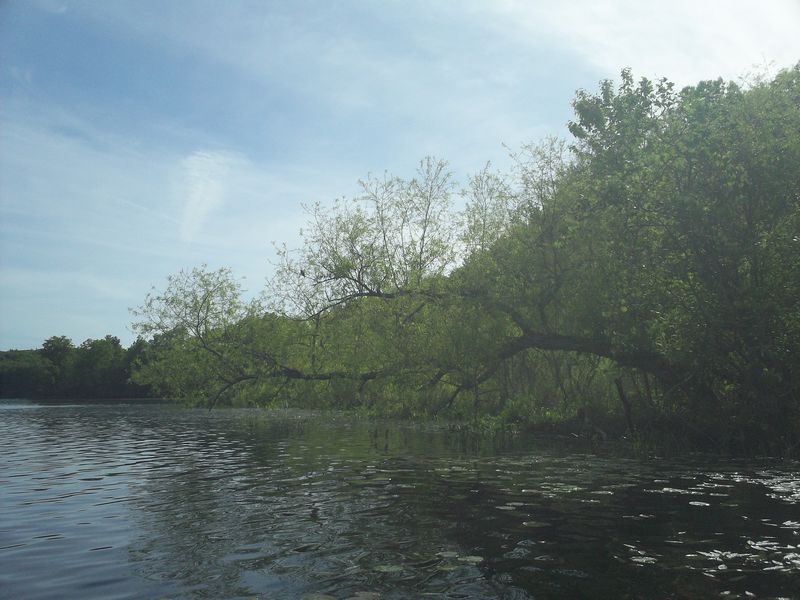 Stump Pond Westboro MA Kayaking photo