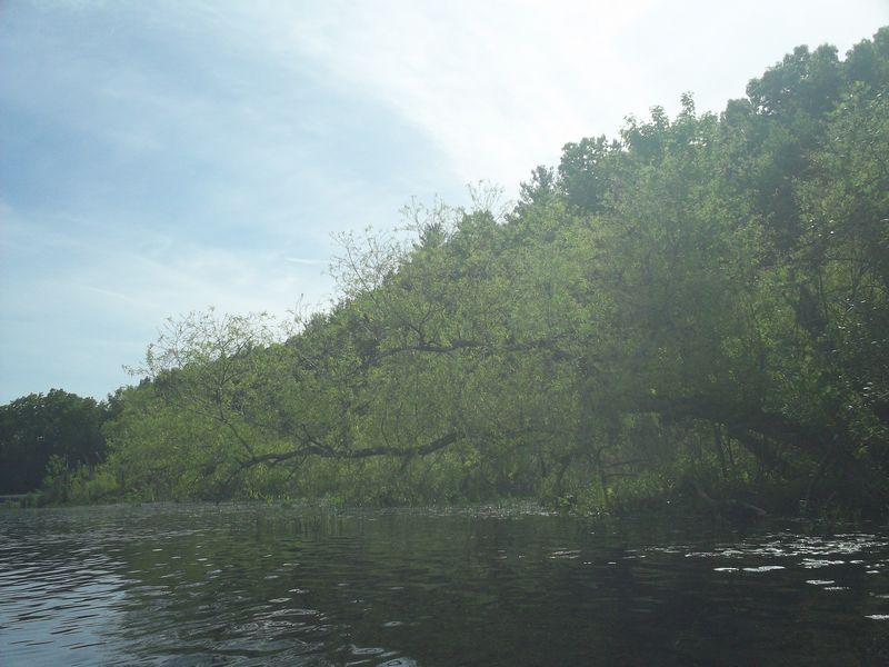 Stump Pond Westboro MA Kayaking photo